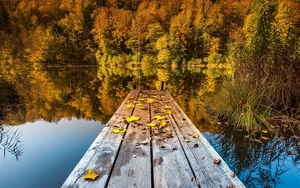 Autumn-lake-woods-and-deciduous_1440x900