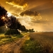 Sunset-road-trees-fields_1920x1200