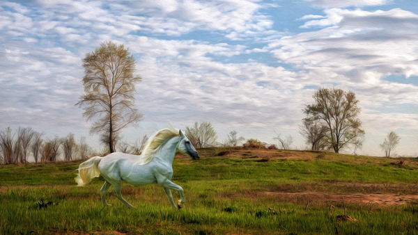 Beautiful-Horse-Running-Painting-Wallpaper