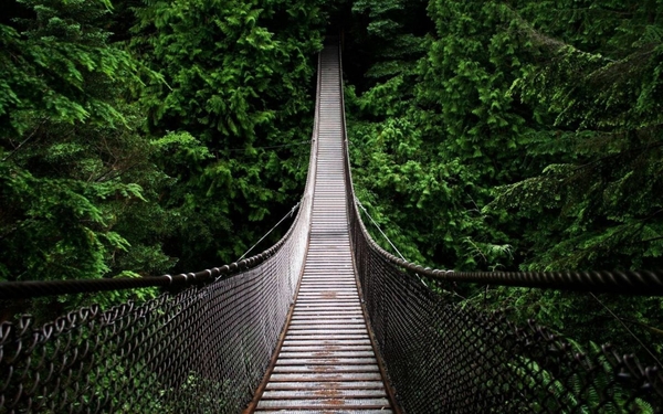 Forests-Bridges-Natural-Scenery-HD-Wallpaper-1440x900