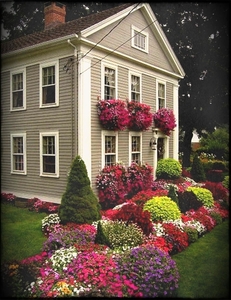 colorful-front-yard-garden-plans-spaces