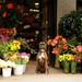 cool-new-york-florist-flowers-by-philip-new-york-florist-flower-d