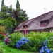 flowers-garden-park-Samsung-France-Europe-cottage-hydrangea-estat