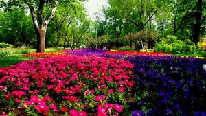 garden-flower-landscaping-awesome-design-gardening-free-download-