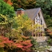 garden-house-Nikon-pond-cottage-backyard-estate-tree-autumn-leaf-