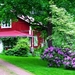 house_garden_yard_flowers_green_door_60449_1280x800