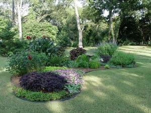 uncategorized-inspirational-plants-for-flower-beds-backyard-lands