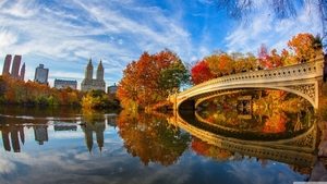 563745-large-central-park-wallpaper-3840x2160-for-windows-10