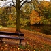 autumn_bench_park_Nature-swX