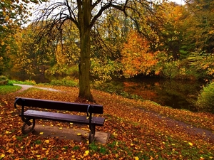 autumn_bench_park_Nature-swX