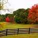 Autumn_Trees_Fence_450598