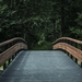 bridge_trees_forest_121607_800x1200