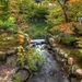 park_Trees_small_river_bridge_stones_Nature-Fmi