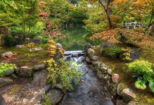 park_Trees_small_river_bridge_stones_Nature-Fmi