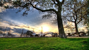 trees_landscapes_grass_city_hdr_13670_1920x1080