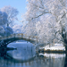 577352-beautiful-winter-background-pictures-1920x1200-for-ios