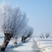 923883-download-free-winter-solstice-wallpaper-2560x1440-photos