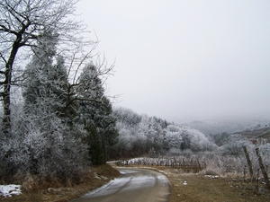 winter-landscape-2030507_1280