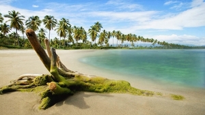 Beach-Nature-HD-1080p-Widescreen-HD-Blog-wallpaper-wp1001977