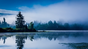 lake-mist-nature-landscape-blue-calm-morning-trees-2K-wallpaper
