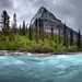 Nature_Rivers__lakes_and_swamps_Wild_river_032622_