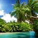 Palm-trees-tropical-sea-blue-water-summer_2560x1440