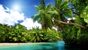 Palm-trees-tropical-sea-blue-water-summer_2560x1440