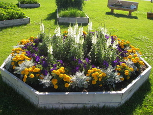 annual-flower-bed-designs-with-wooden-board-garden-ideas-garden-b