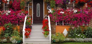 casa-com-jardim-florido-e-colorido