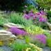 fabulous-rock-garden-design-with-pretty-flowers-purple-yellow-blu