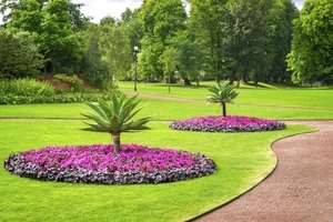 flowers-landscaping-backyard-landscaping-designs-flowers-landscap