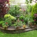 Small-Flowering-House-Plants-Garden