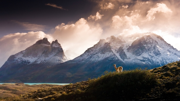 Mountains-clouds-morning-grass-animal_1920x1080