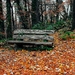 autumn-2132491_960_720