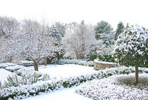 Winter-Garden