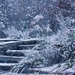 winter-garden_1895_1600_1067