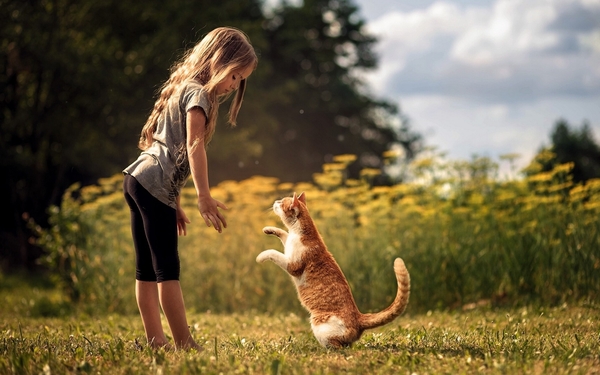 Cute-baby-girl-with-cat-friendship-wallpapers