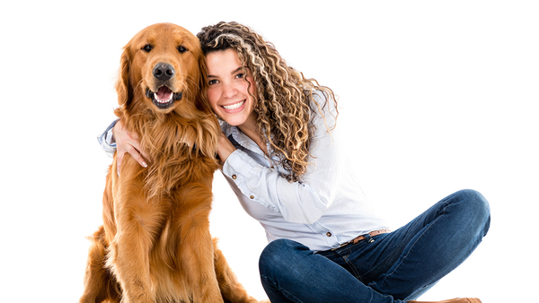 Dogs_White_background_Brown_haired_Smile_Retriever_513680_1600x90