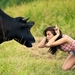 hd-wallpaper-funny-hot-girl-fight-with-cow