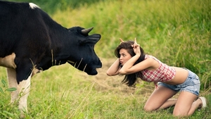 hd-wallpaper-funny-hot-girl-fight-with-cow