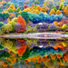551113-amazing-beautiful-fall-pictures-wallpaper-1920x1200