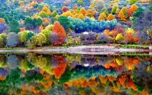 551113-amazing-beautiful-fall-pictures-wallpaper-1920x1200