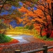Autumn-Nature-Wallpaper-Ch24a