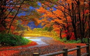 Autumn-Nature-Wallpaper-Ch24a