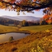 Autumn-pond