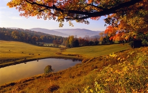 Autumn-pond