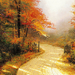 Fall-Autumn-Wallpapers-Wgf29