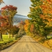 road-autumn-trees-landscape5797