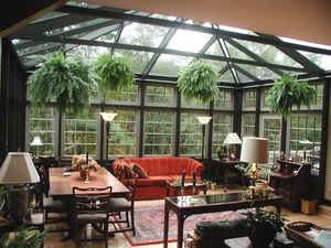plants-in-living-room-sunroom-with-plants-as-an-interior-design-c