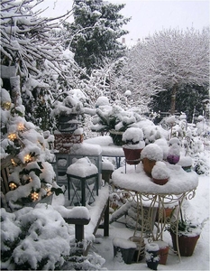 weather-in-winter-garden-weather-winter-garden-fresh-best-garden-